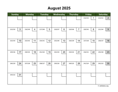 August 2025 Calendar with Day Numbers