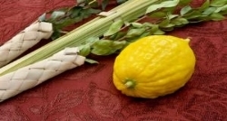 Sukkot 2026