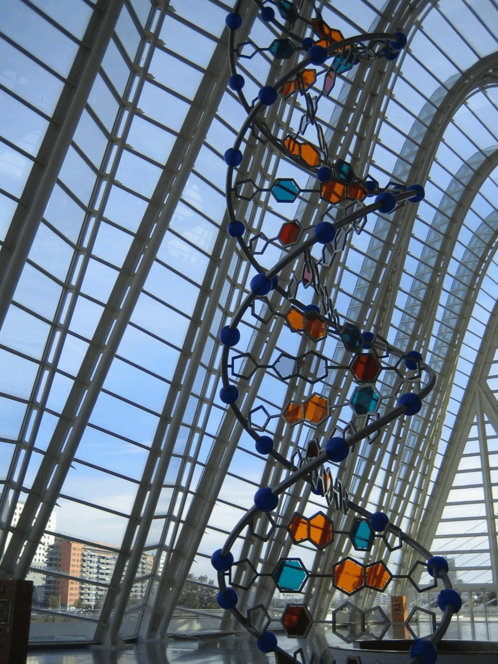 DNA