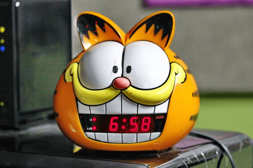 Garfield the Cat Day (Wednesday, June 19th, 2024)