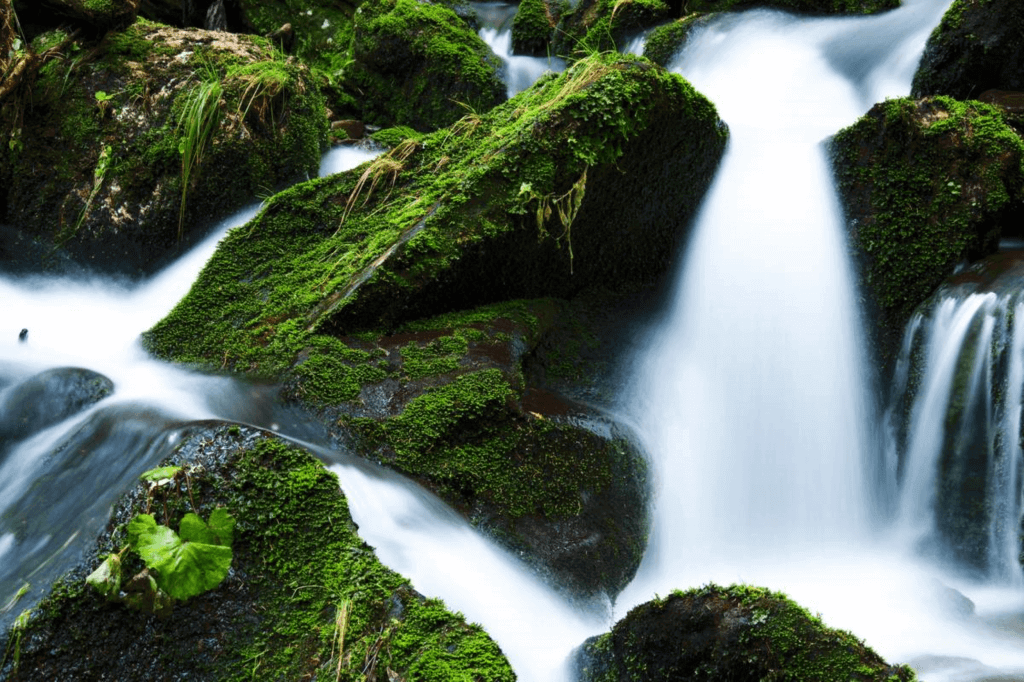 Inter American Water Day Saturday October 1st 2022 