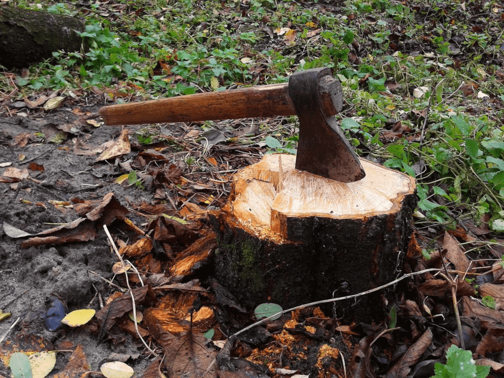 Lumberjack