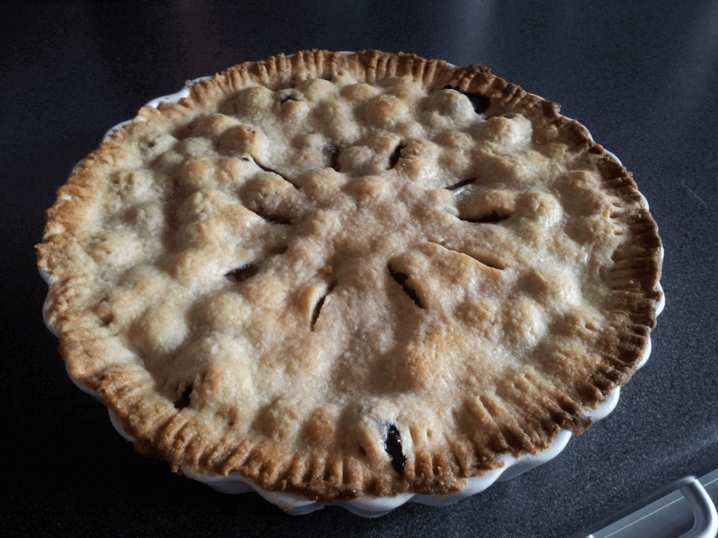 National Blueberry Pie Day (Friday, April 28th, 2023)