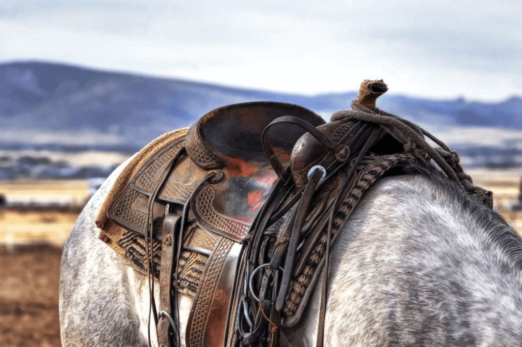 National Day of the American Cowboy (Saturday, July 22nd, 2023)