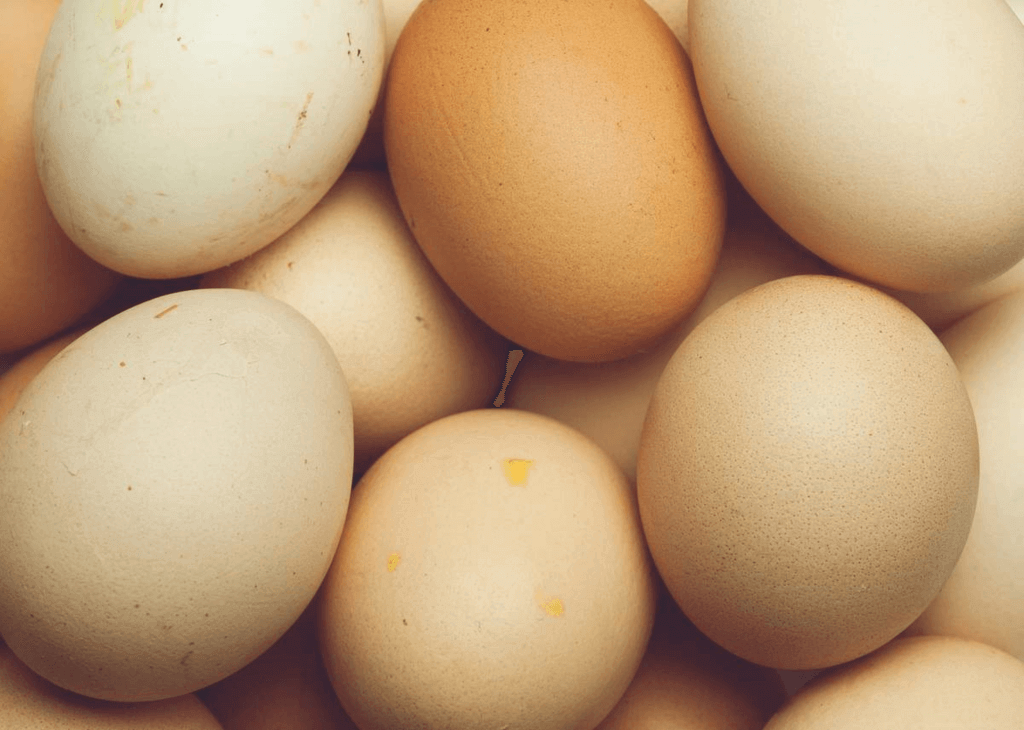 National Egg Day 2025