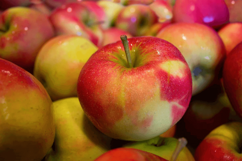 National Fruit at Work Day (Tuesday, October 1st, 2024)