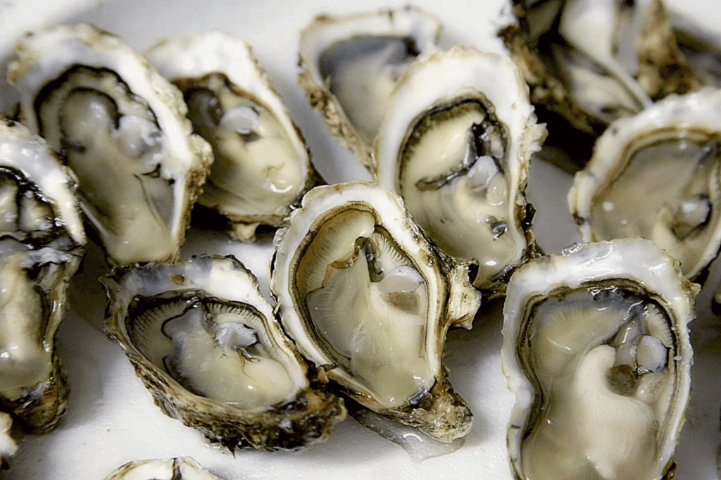 National Oyster Day (Monday, August 5th, 2024)