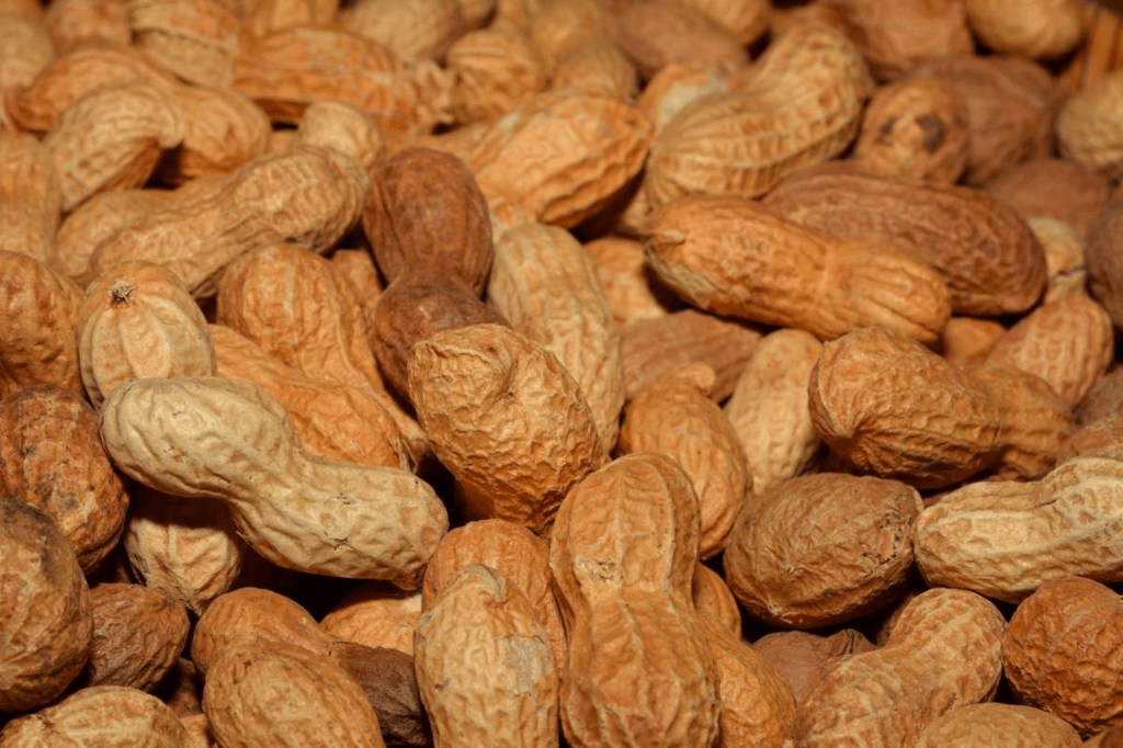 National Peanut Lovers Day (Friday, March 15th, 2024)