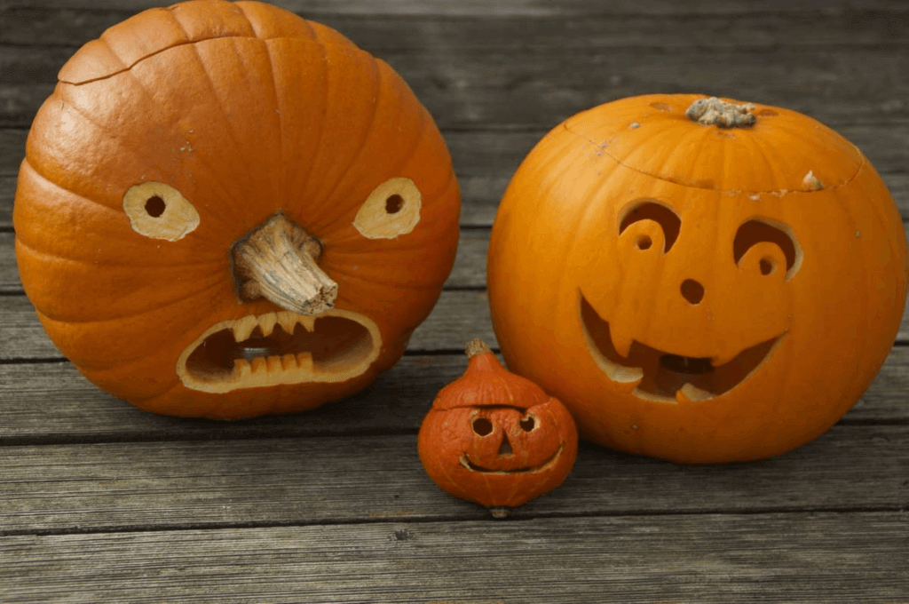 National Pumpkin Day (Sunday, October 26th, 2025)