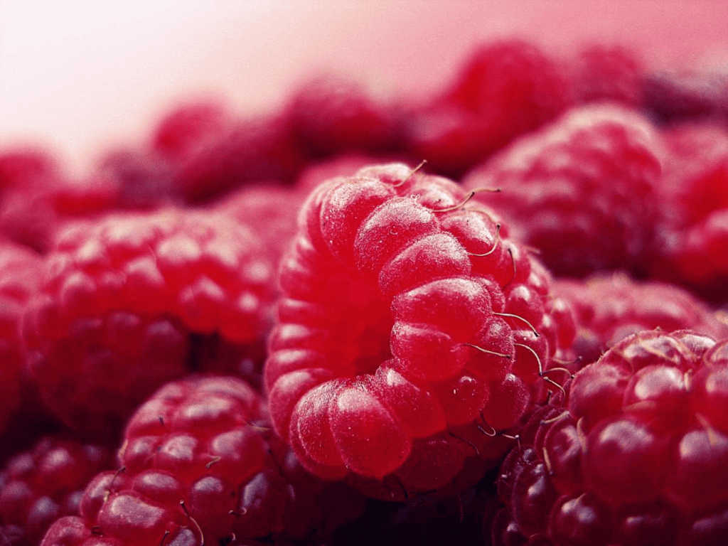 National Raspberry Bombe Day Thursday August 11th 2022 