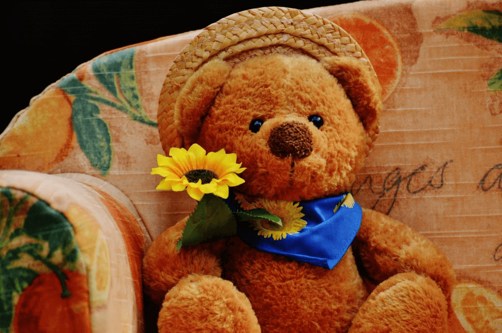 National Teddy Bear Day (Monday, September 9th, 2024)