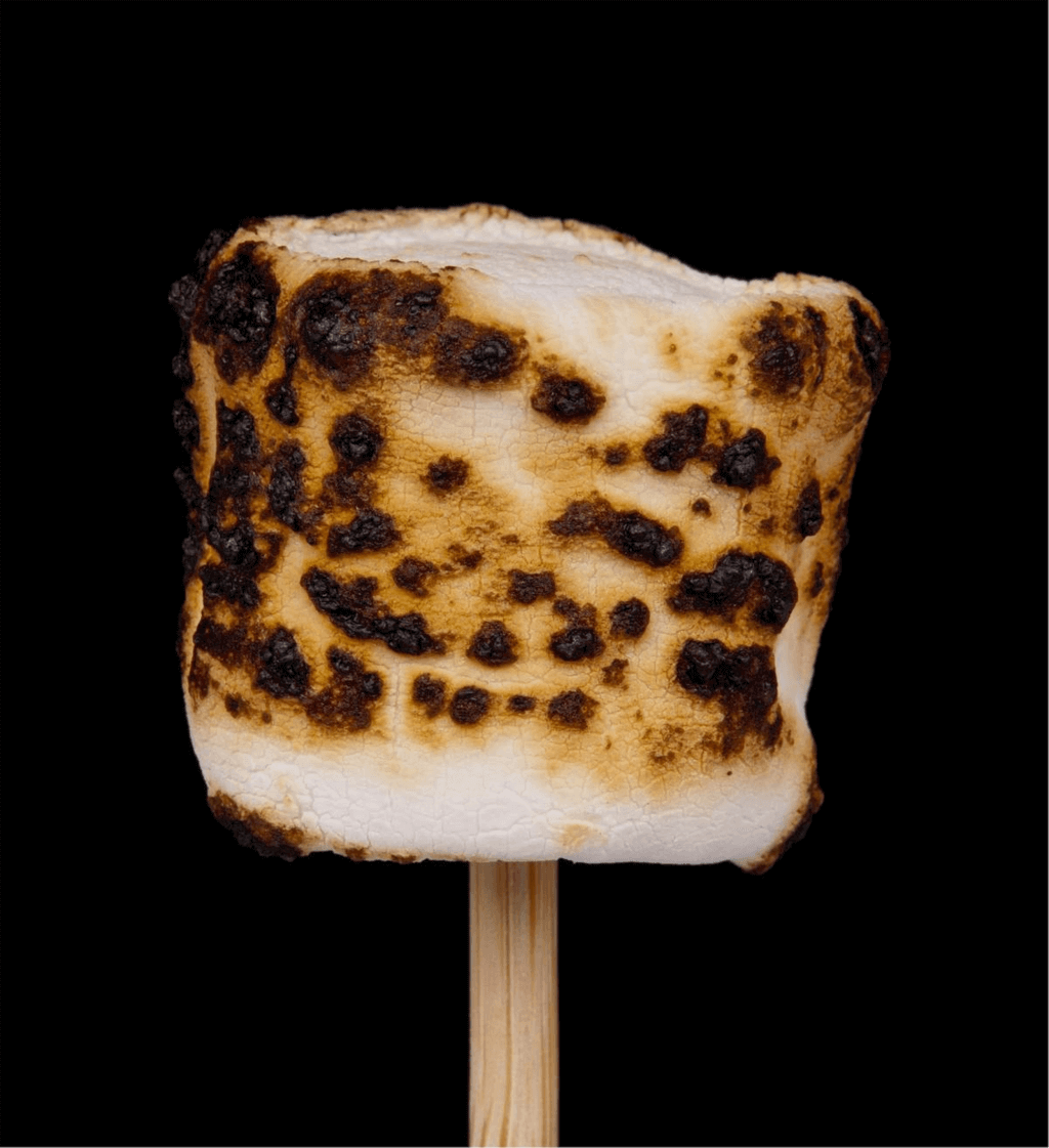 How many days until National Toasted Marshmallow Day?