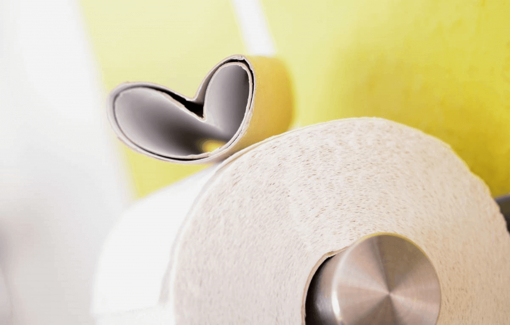 National Toilet Paper Day (Monday, August 26th, 2024)