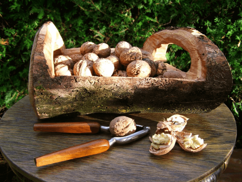 National Walnut Day (Friday, May 17th, 2024)