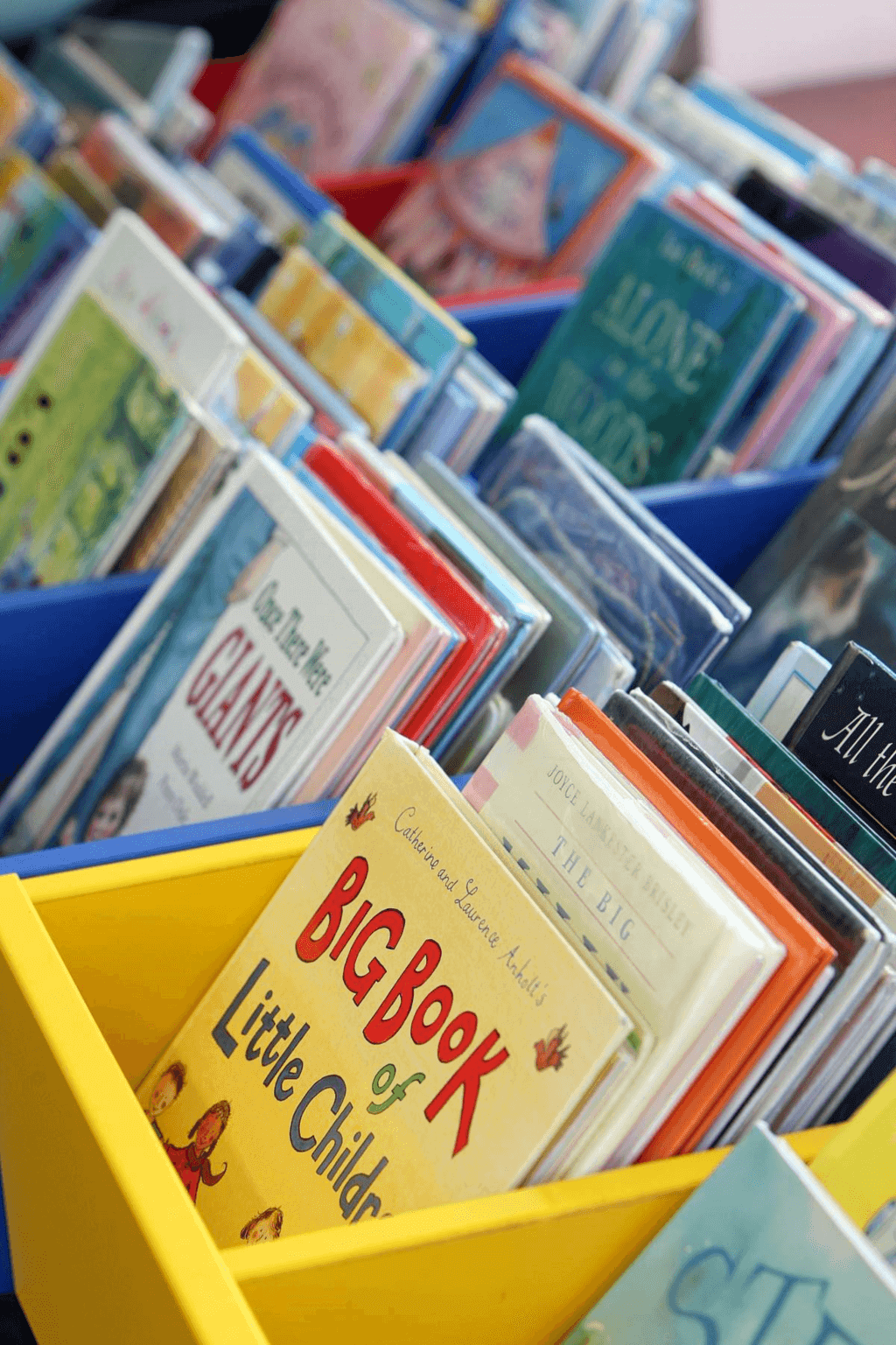 School Librarians' Day (Wednesday, April 16th, 2025)