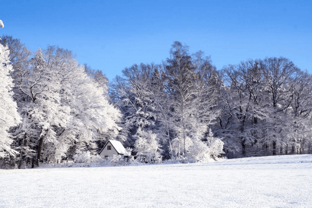 The First Day of Winter (Saturday, December 21st, 2024)