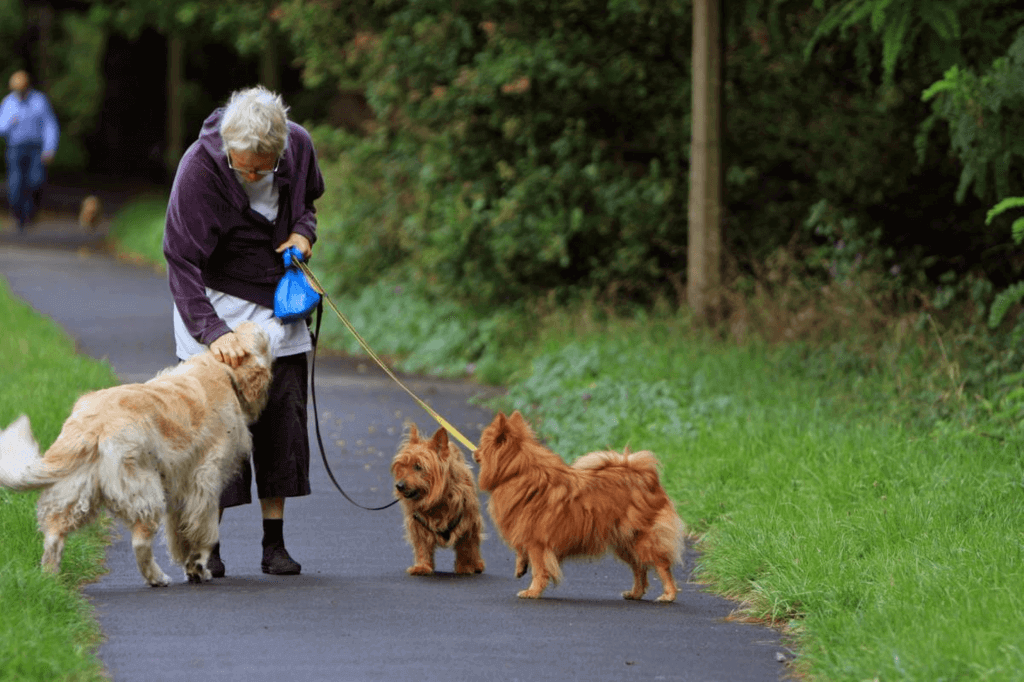 Walking