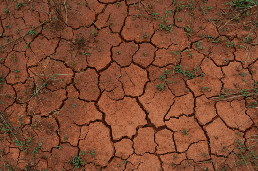 World Day To Combat Desertification And Drought Saturday June 17th 2023 