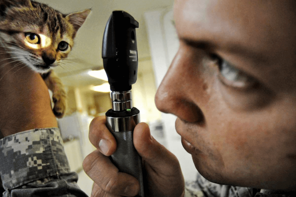 World Veterinary Day Saturday April 27th 2024 