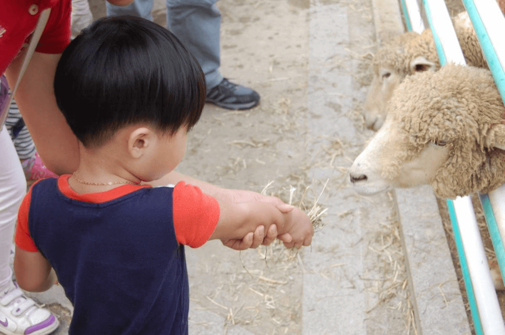 Zoo Lovers Day (Tuesday, April 8th, 2025)