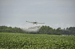 Airplane Crop Duster Day