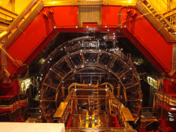 Blame It on the Large Hadron Collider Day