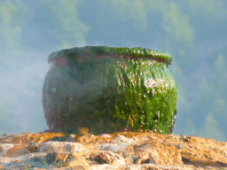 Brew a Potion Day