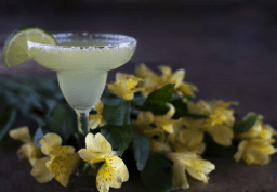 Cinco de Marcho