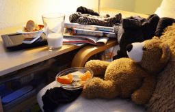 Clean Up Your Room Day