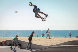 Go Skateboarding Day