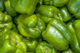 Green Peppers Day