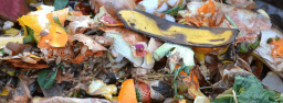 International Day of Awareness of Food Loss and Waste