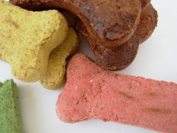 International Dog Biscuit Appreciation Day