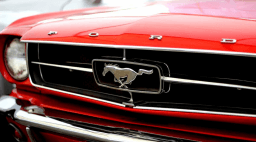 International Ford Mustang Day