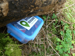 International Geocaching Day