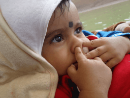 International Nose Picking Day