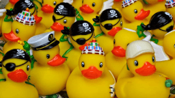 Lame Duck Day