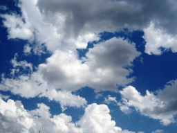 Look up at the Sky Day