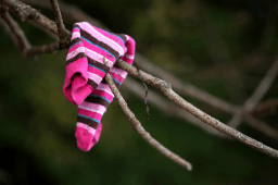 Lost Sock Memorial Day