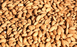National Almond Day