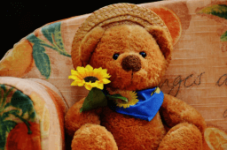 National Bring Your Teddy Bear to Work and School Day
