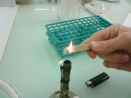 National Bunsen Burner Day