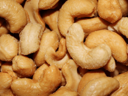 National Cashew Day