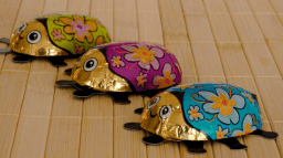 National Chocolate-Covered Insect Day