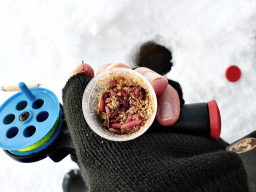 National Cordova Ice Worm Day