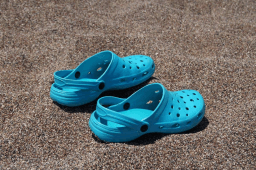 National Croc Day