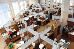 National Cubicle Day