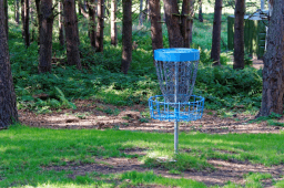 National Disc Golf Day