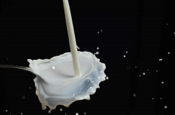 National Don't Cry Over Spilled Milk Day