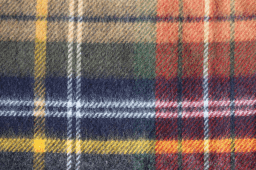 National Flannel Day
